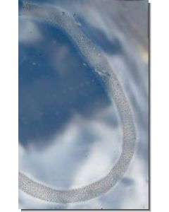 Ocean-Essence-Nr-1-15-ml