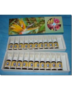 afrikanisch-kanarische-essenzen-20-flaschen-15-ml
