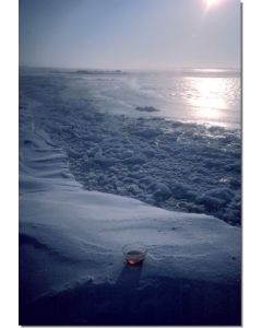 Polar-Ice-Stockb-7-5-ml