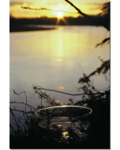 Solstice-Sun-Stockb-7-5-ml