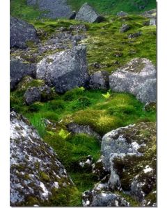 Stone-Circle-Stockb-7-5-ml