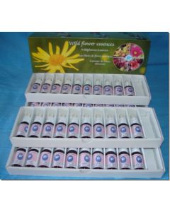 wildpflanzen-set-40-flaschen-á-15-ml