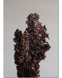 Argentumsilvestrum