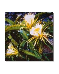 herenow-cactus-stockb-15-ml