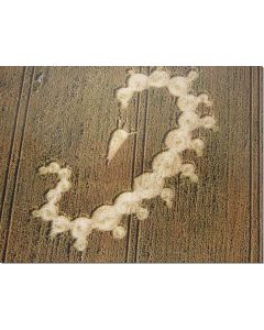 nr-10-fractal-caterpillar-liddington-castle-uk-19915-ml