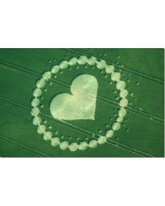 nr-32-heart-west-kennet-uk-20015-ml