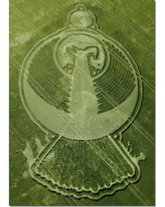 nr-110-indian-eagle-yatesbury-uk-20015-ml