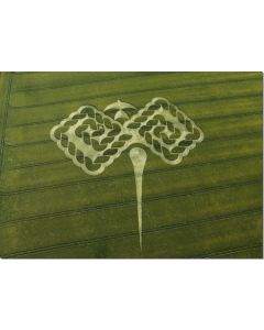 nr-113-down-gallops-beckhampton-west-uk-20015-ml