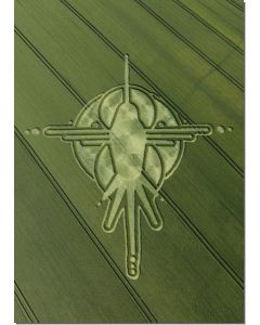 nr-117-eagle-milk-hill-uk-20015-ml