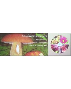 pilz-essenzen-set-20-flaschen-á-15ml