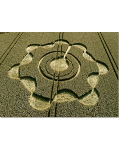 Nr-160-Cropcircle-Avebury-UK-20115-ml