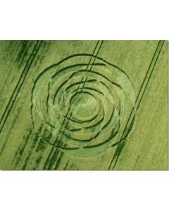 Nr-169-ROSE-Uffington-UK-20115-ml