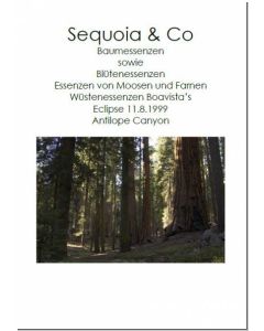 sequoia-und-co