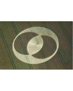 nr-8-vesica-pisces-ashbury-uk-19915-ml