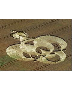 nr-21-lotus-flower-2-lockeridge-uk-19915-ml
