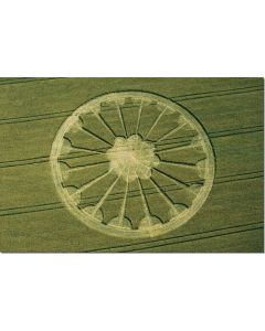 nr-36-rose-window-south-field-uk-20015-ml