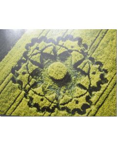 nr-39-flower-of-life-zierenberg-d-20015-ml