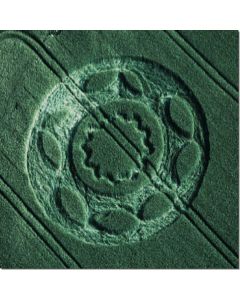 nr-42-9-petal-flower-heiligenberg-d-20015-ml
