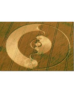 nr-43-ying-yang-2-windmill-hill-uk-20015-ml