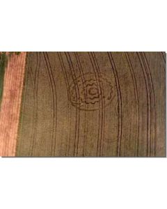 nr-55-crop-circle-igelsburg-hohen-stein-d-20015-ml