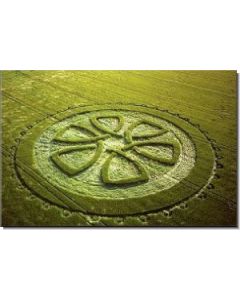 nr-61-celtic-knot-avebury-trusbe-uk-20015-ml