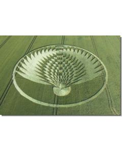 nr-85-eagle-uffington-castle-ashbury-uk-20015-ml