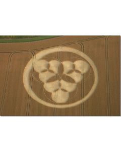 nr-89-windmill-hill-avebury-trustloe-uk-20015-ml