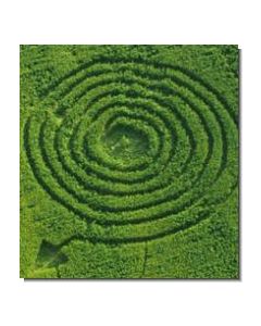 nr-90-spiral-göttingen-d-20015-ml