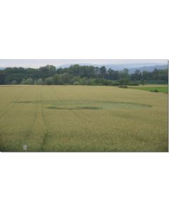 nr-92-snail-rheinau-ch-20015-ml