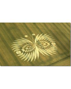 nr-95-butterfly-hailey-wood-ashbury-uk-20015-ml