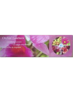orchideen-essenzen-set-20-flaschen-á-15-ml